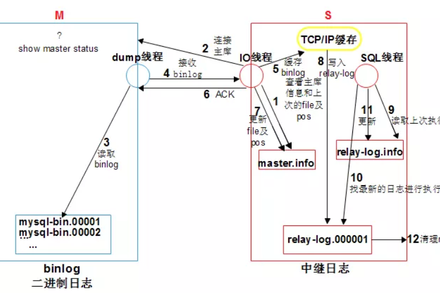 MySQL主从复制高级进阶-MySQL学习笔记