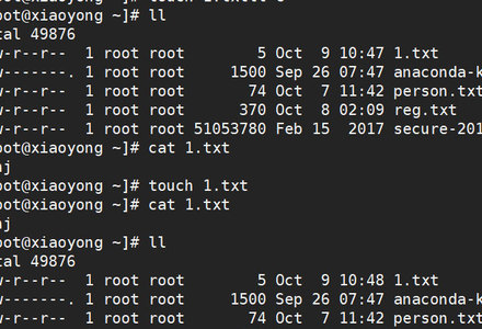 Linux系统目录和文件信息操作-MySQL学习笔记