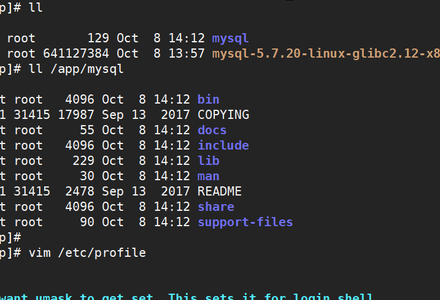 第2章：MySQL介绍和安装-MySQL学习笔记